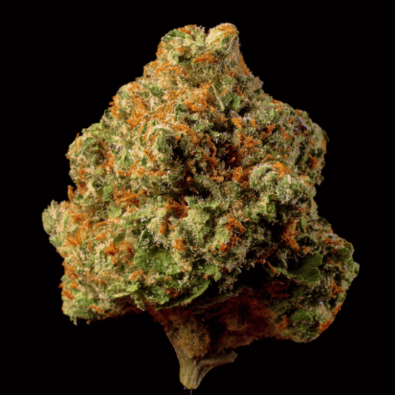 Do - Si - Do THCA Flower - Lost In Translation