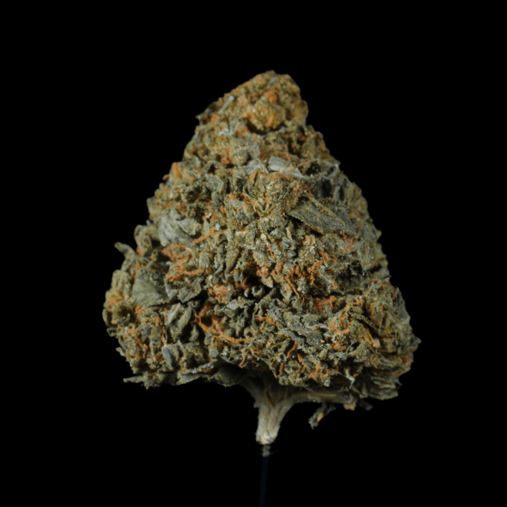 Donny Burger THCA Flower - Lost In Translation