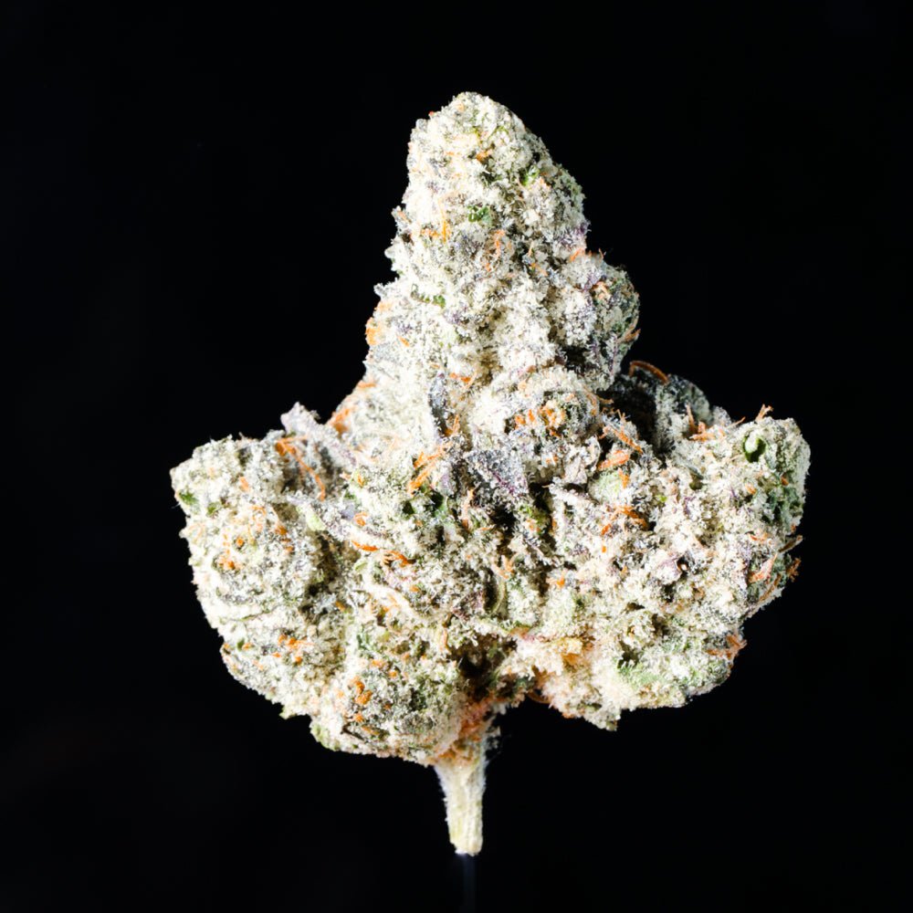 Donny Burger THCA Flower - Lost In Translation