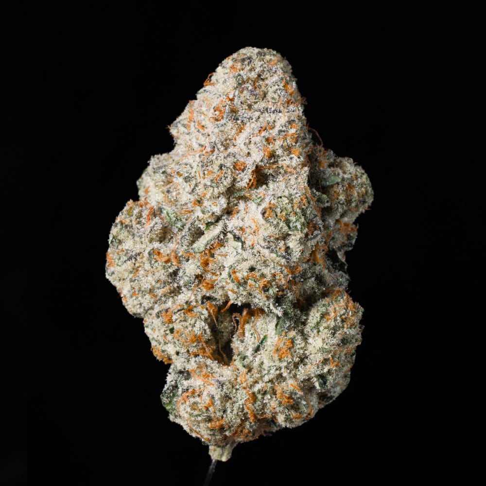 Donny Burger THCA Flower - Lost In Translation