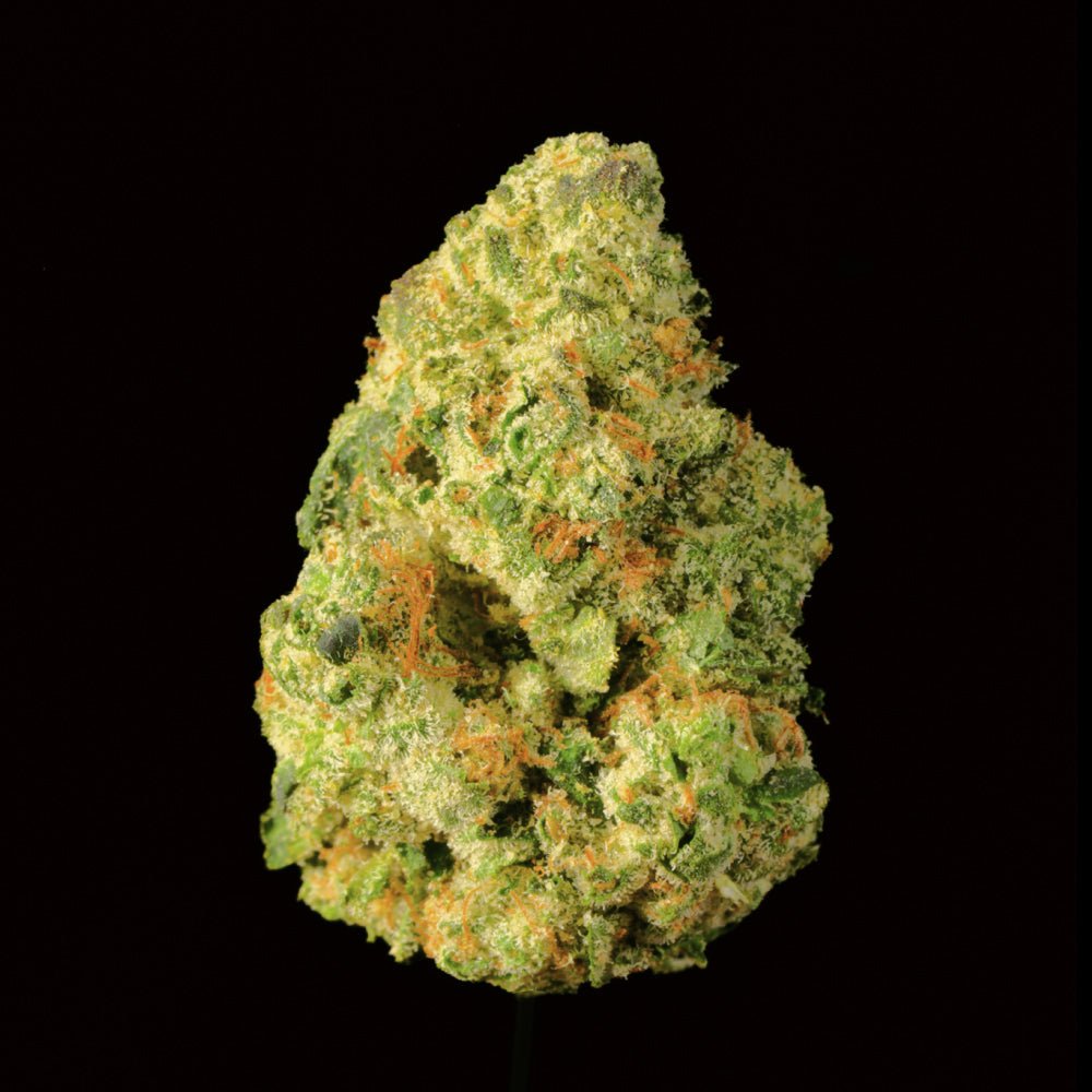 Donny Burger THCA Flower - Lost In Translation