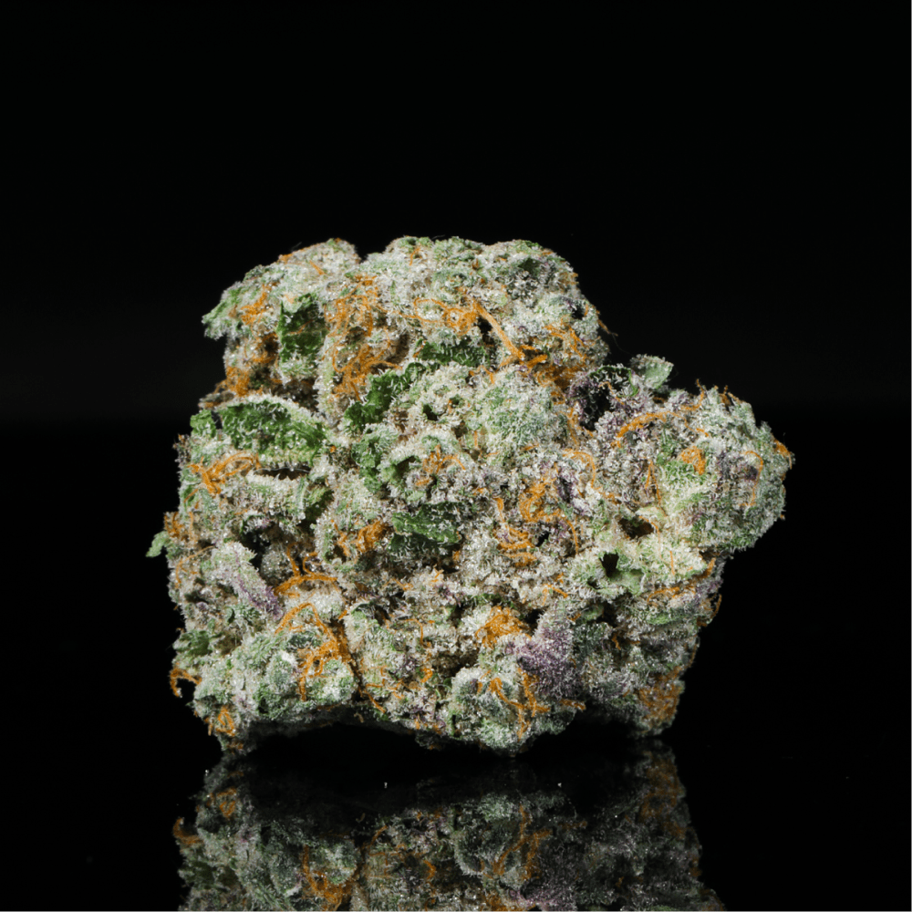 Double Runtz THCA Flower - Lost In Translation