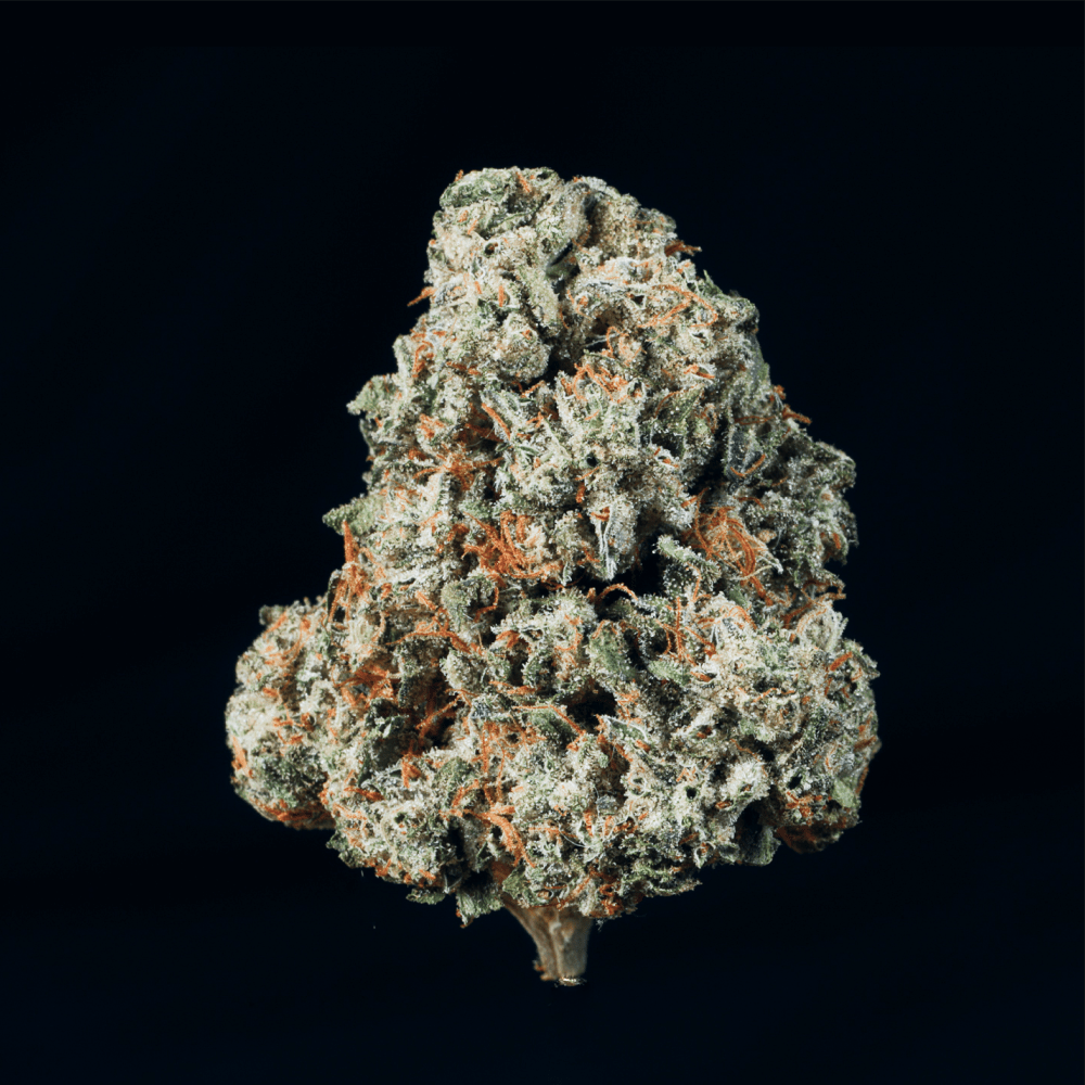 GMO THCA Flower - Lost In Translation