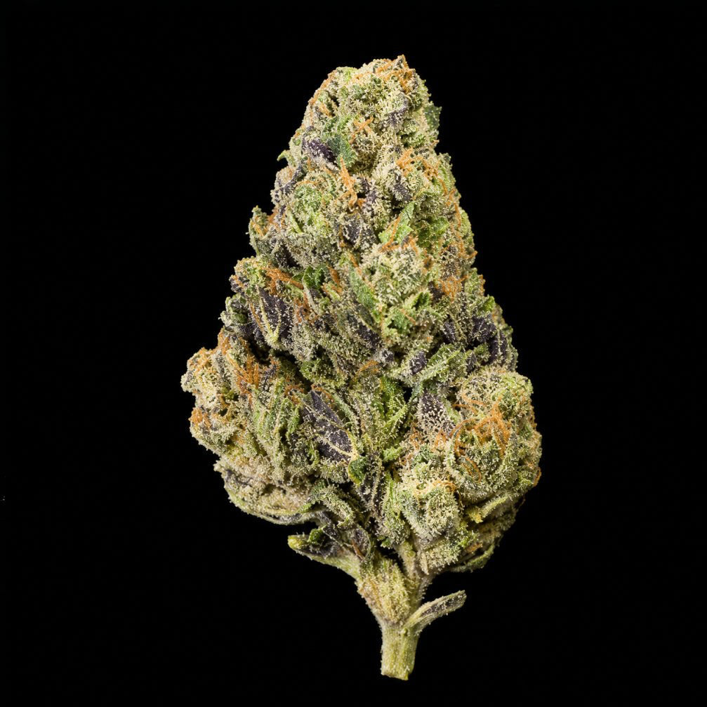 Fee Runtz THCA Flower - Lost In Translation