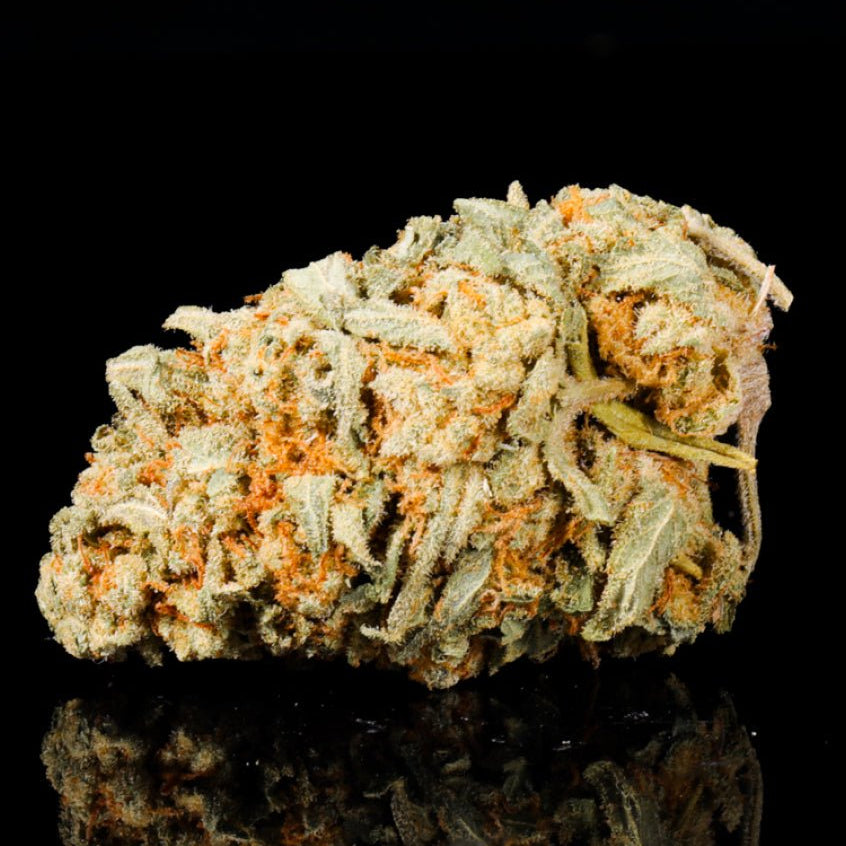 Fire OG THCA Flower - Lost In Translation