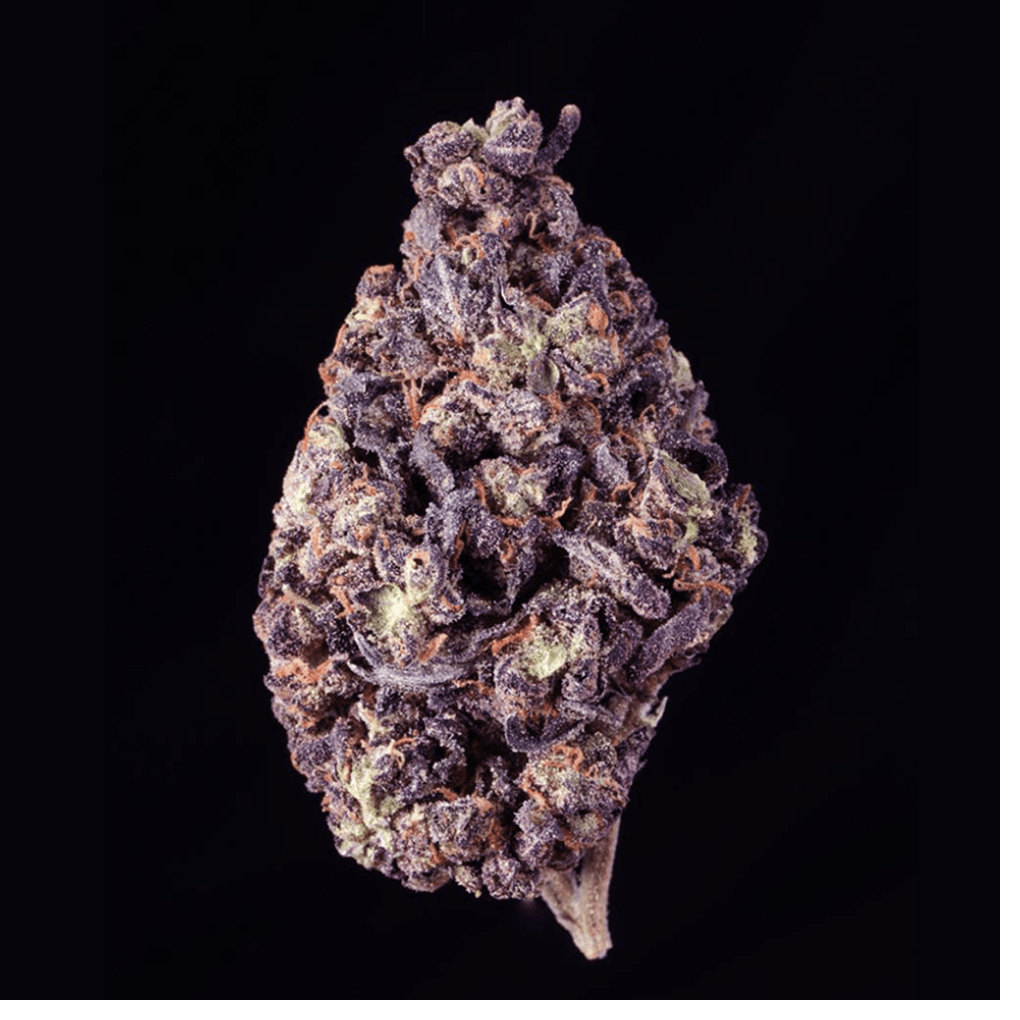 Forbidden Fruit THCA Flower - Lost In Translation