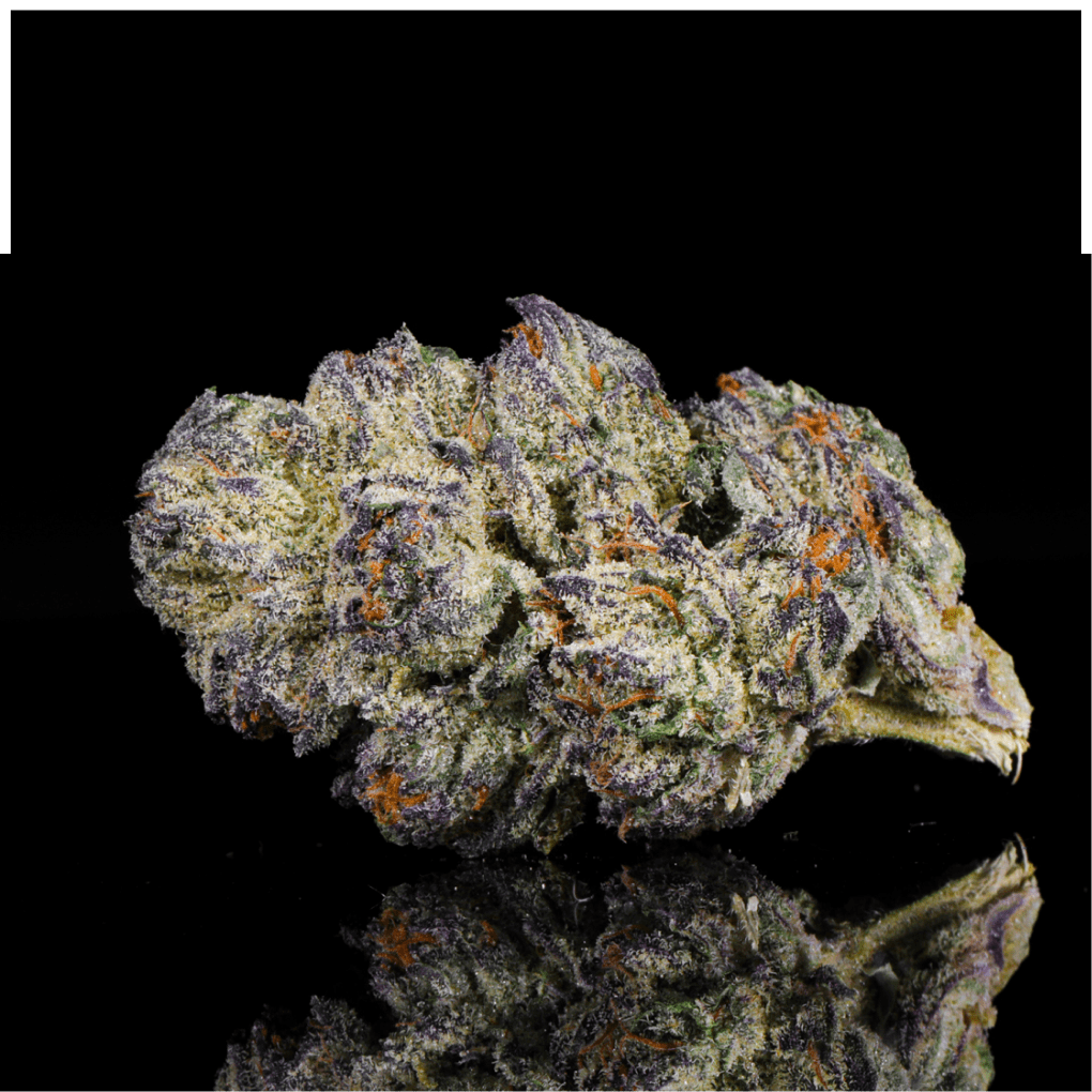 Fight Club THCA Flower - Lost In Translation