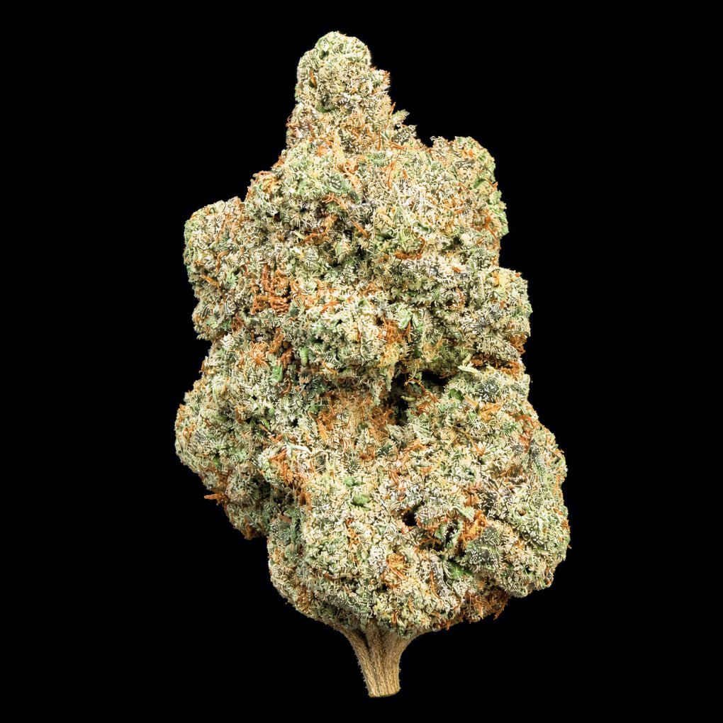 Frozen Lemonade THCA Flower - Lost In Translation