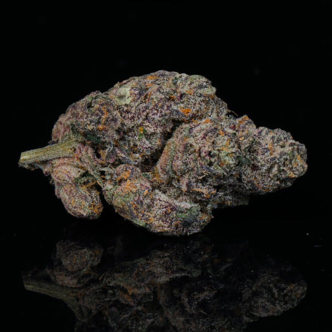 Frozen Grapes THCA Flower - Lost In Translation