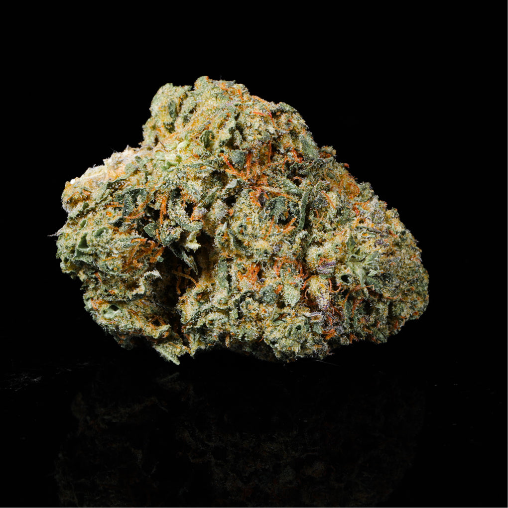 Funnel Cake THCA Flower