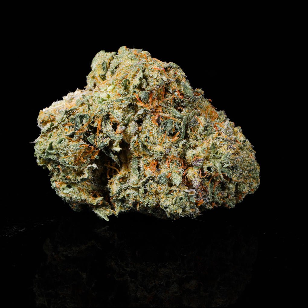 Funnel Cake THCA Flower - Lost In Translation