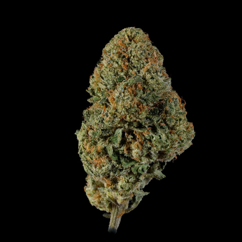 Gary Coleman THCA Flower - Lost In Translation