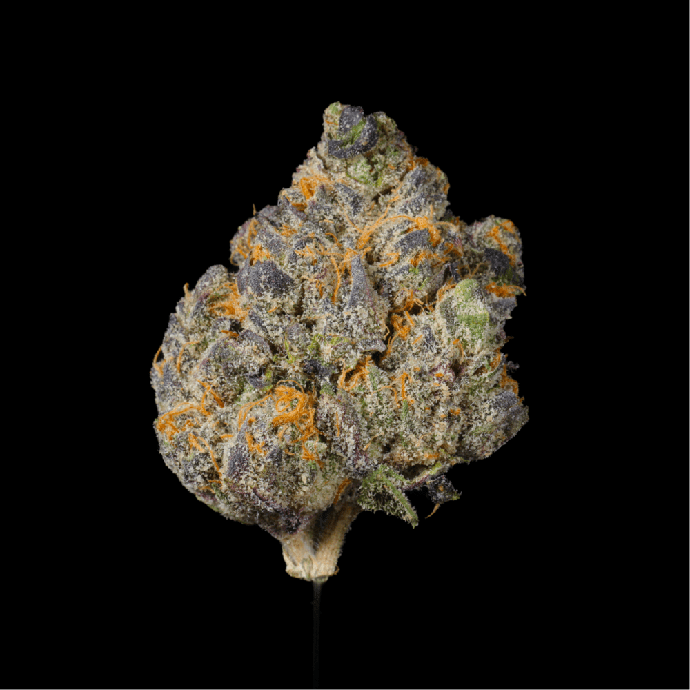 Gas Face THCA Flower - Lost In Translation