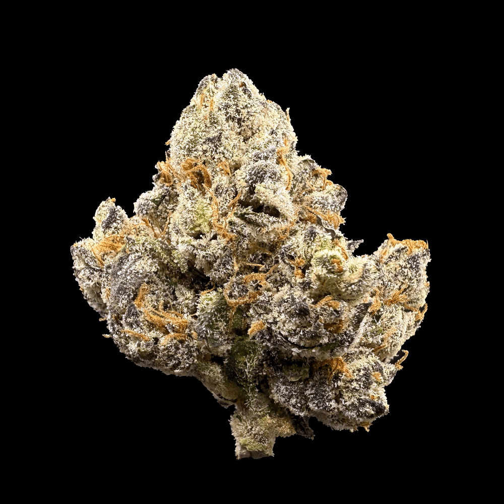 Gas Leak THCA Flower - Lost In Translation