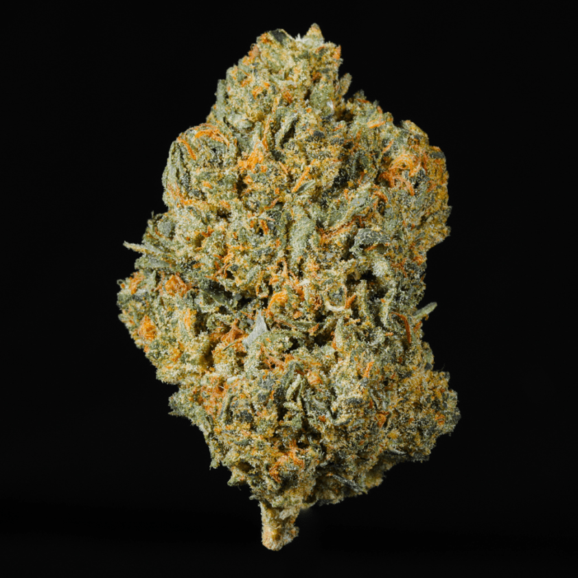 Gas Leak THCA Flower - Lost In Translation