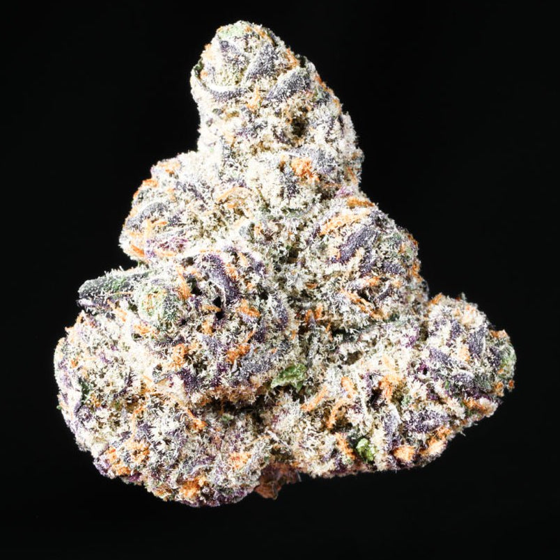 Gas Light THCA Flower - Lost In Translation