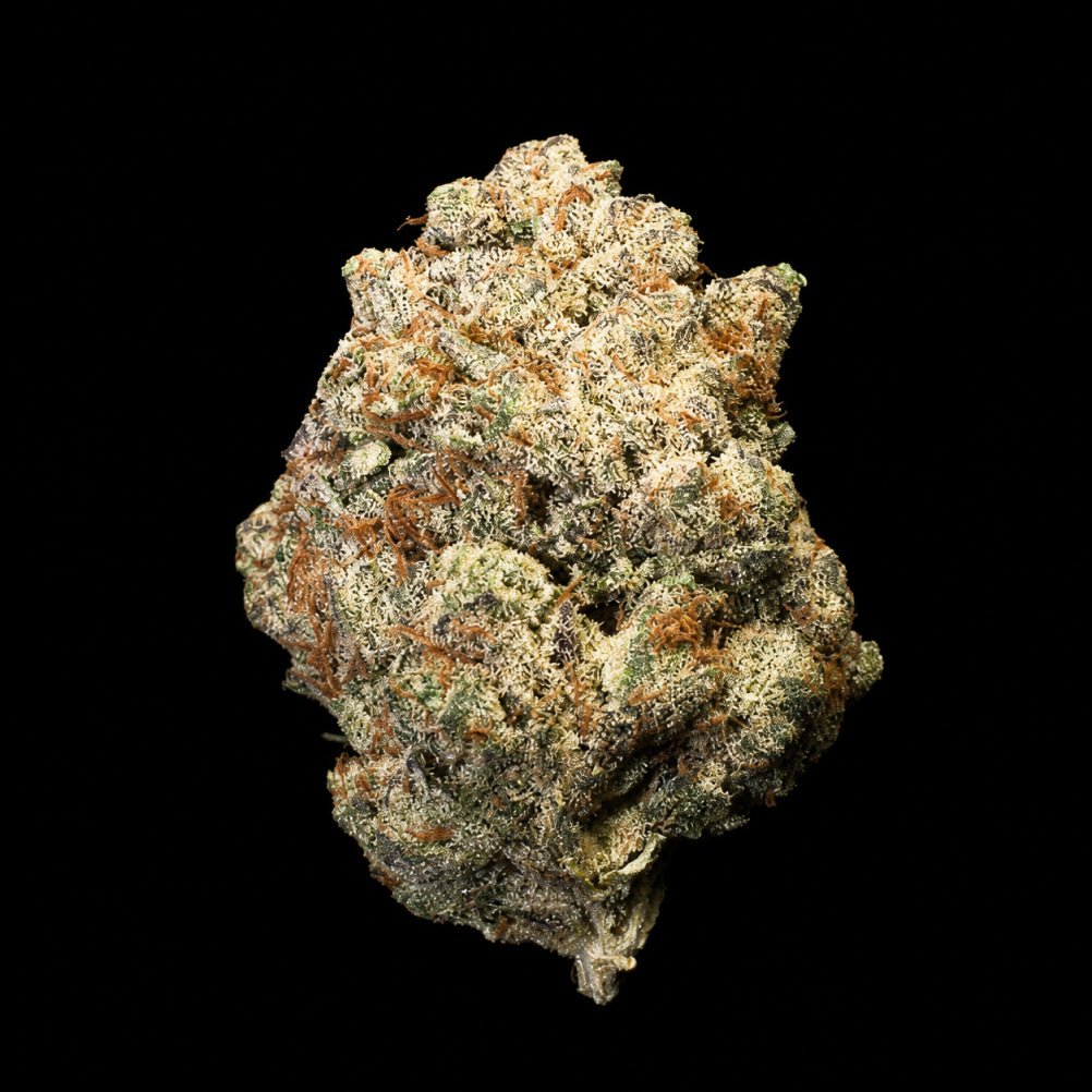 Gas Leak THCA Flower - Lost In Translation