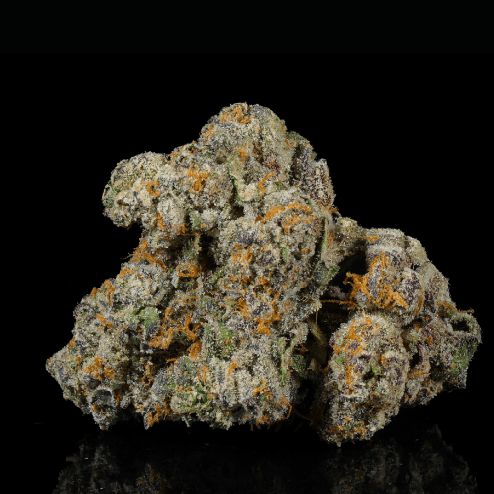 Gas Light THCA Flower - Lost In Translation