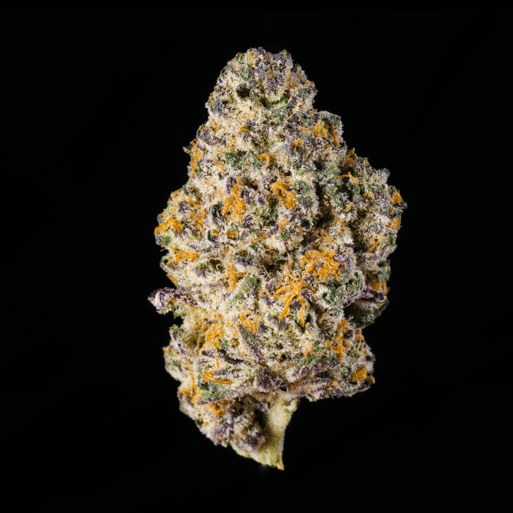 Baccio Gelato THCA Flower - Lost In Translation