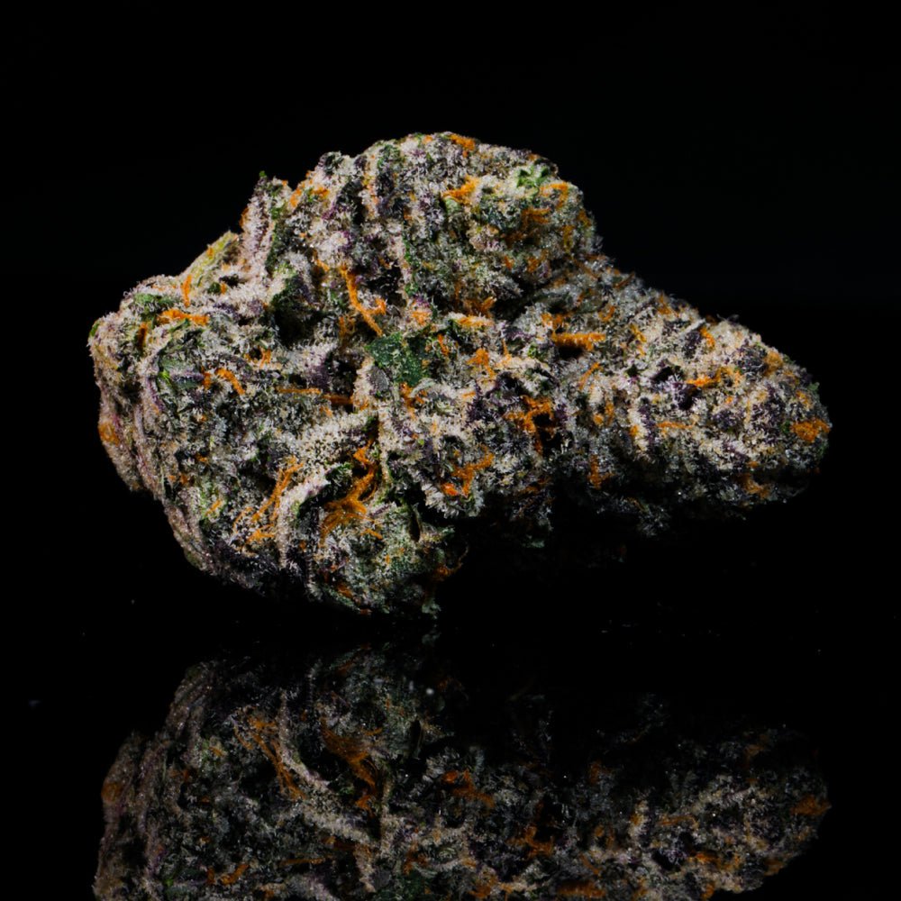 Gelato 33 THCA Flower - Lost In Translation