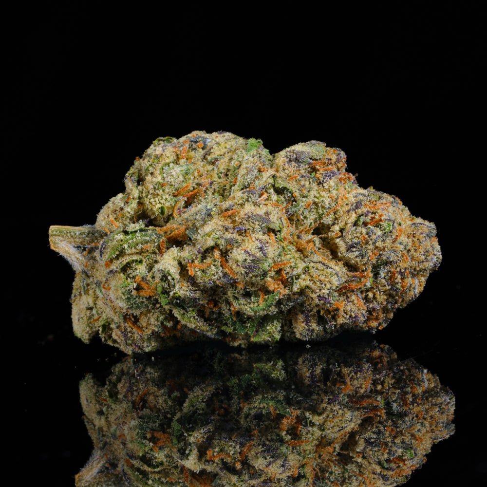 Gelato 42 THCA Flower - Lost In Translation