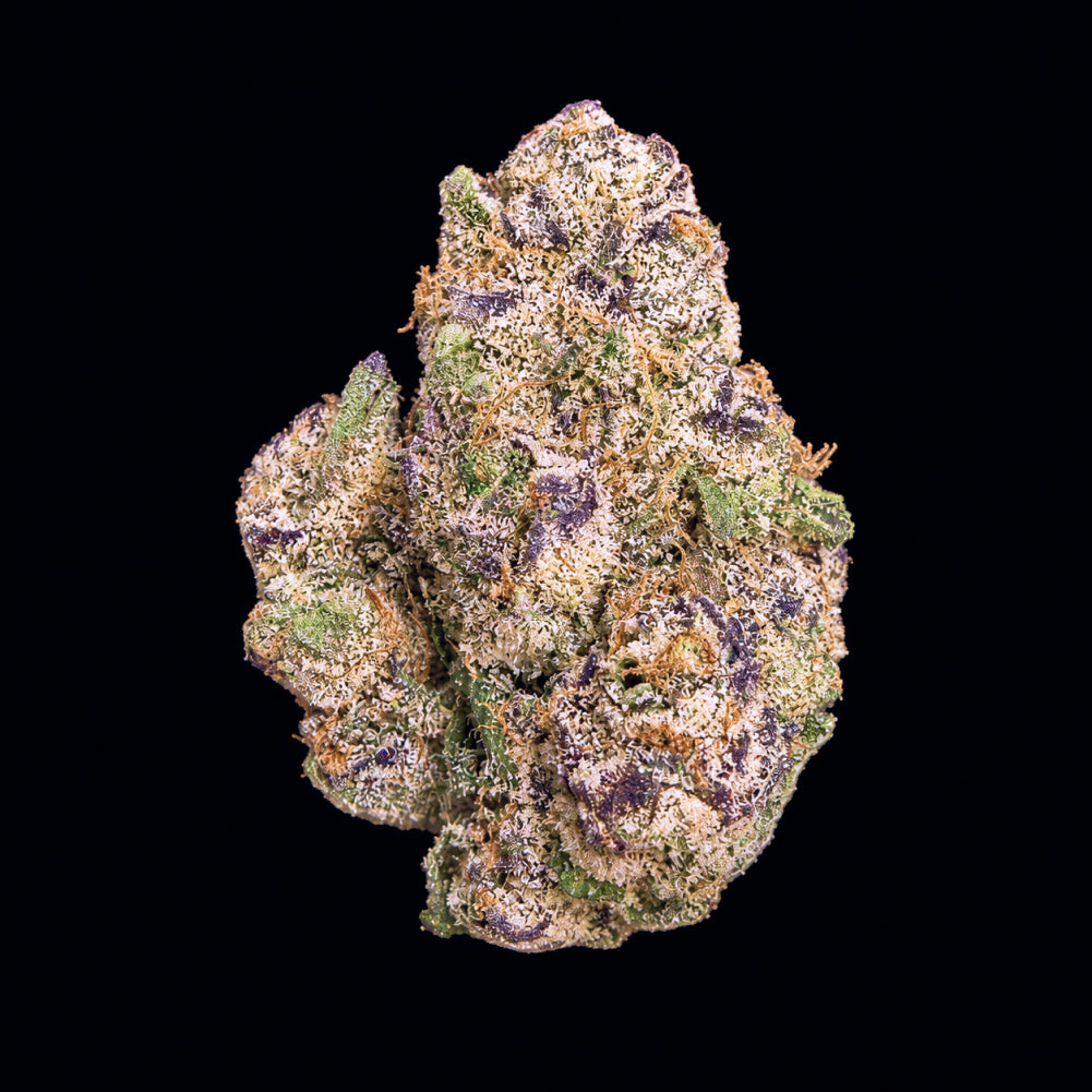 Gelato #33 THCA Flower
