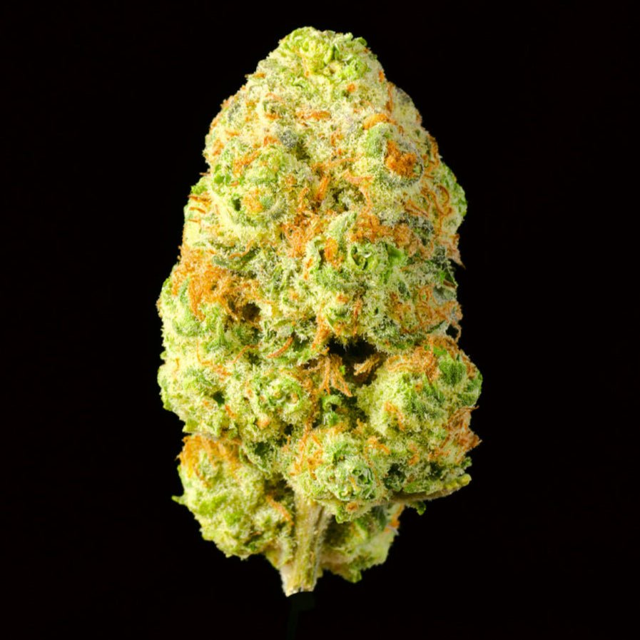 Gelato THCA Flower - Lost In Translation