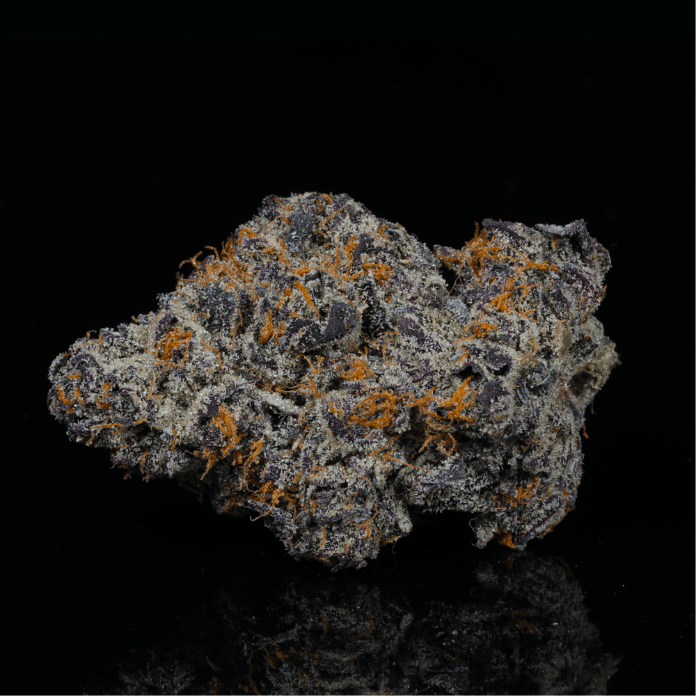 Gelato THCA Flower - Lost In Translation