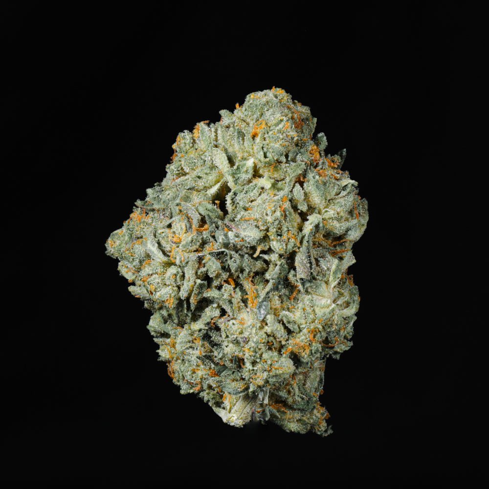 Gelato 33 THCA Flower - Lost In Translation