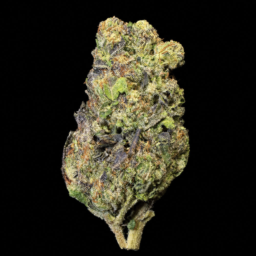 Gelato King THCA Flower