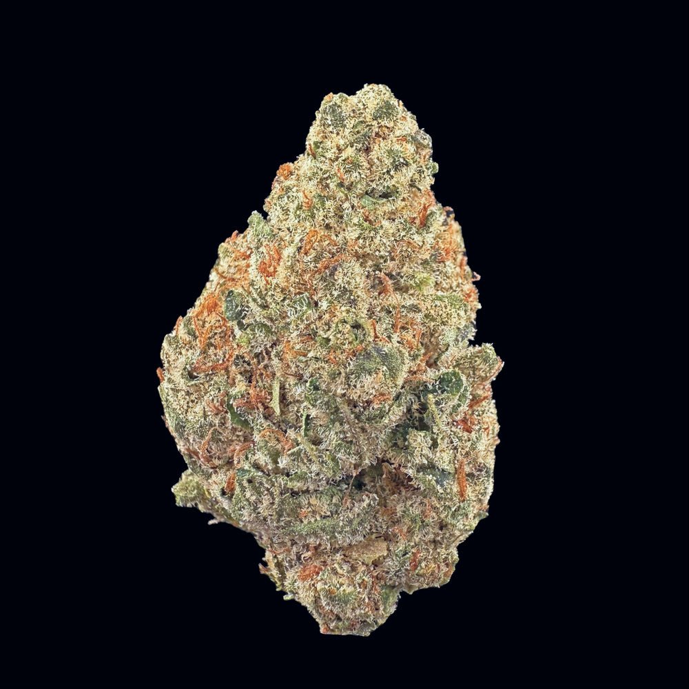 Gelato King THCA Flower - Lost In Translation