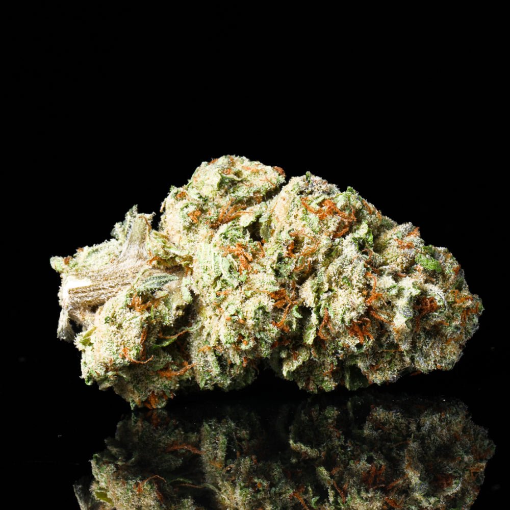 Gelonade THCA Flower - Lost In Translation