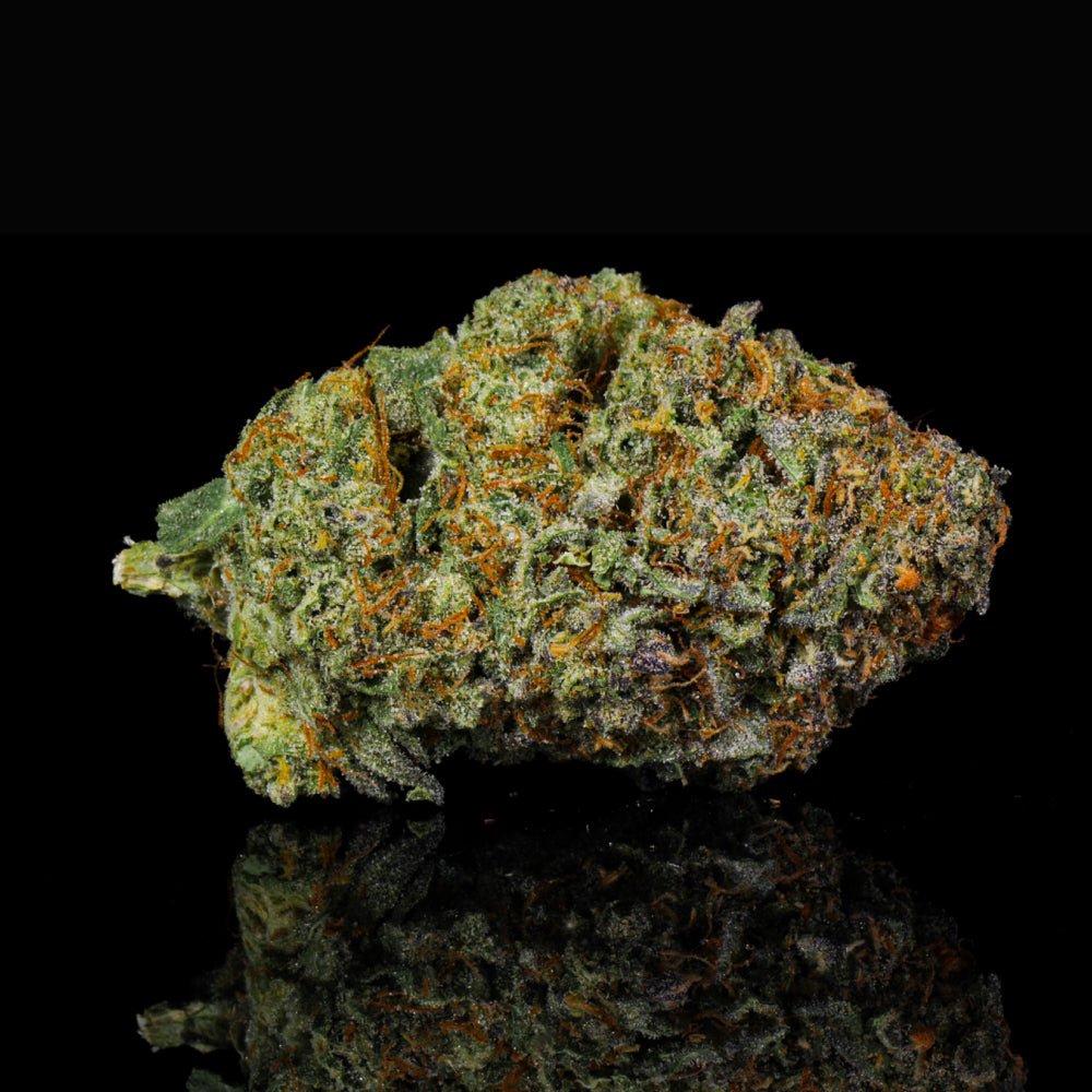 Ghost Train Haze THCA Flower - Lost In Translation