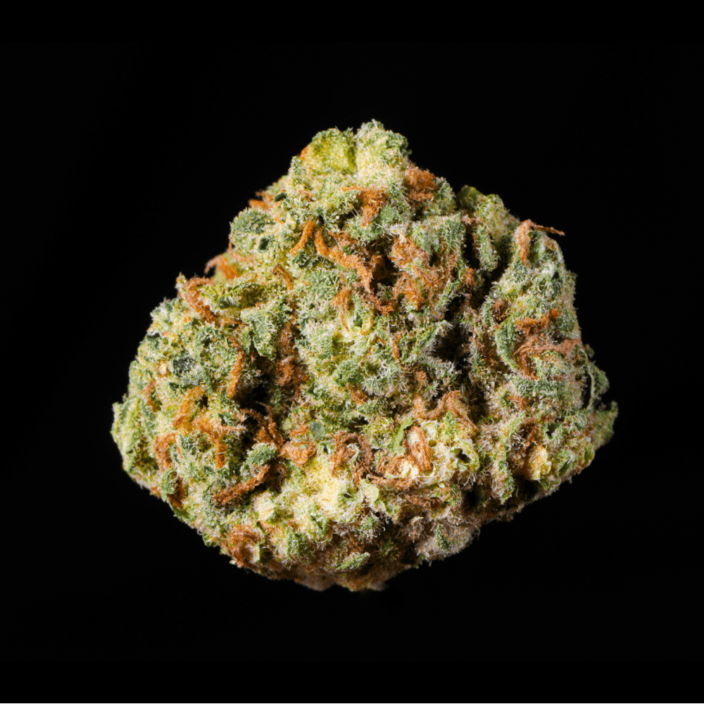 Glitter Bomb THCA Flower - Lost In Translation