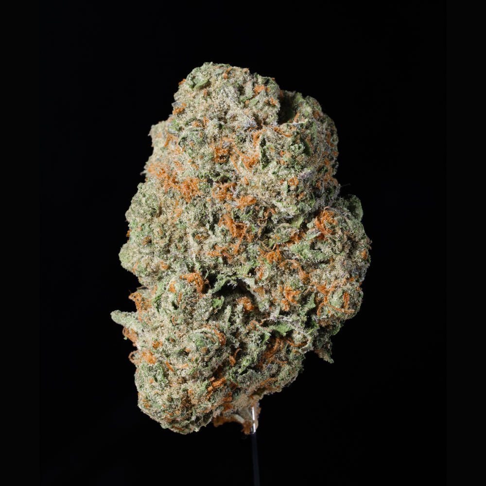 Glitter Bomb THCA Flower - Lost In Translation