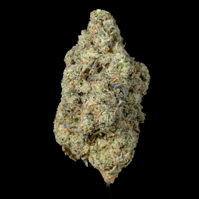 Gorilla Glue THCA Flower - Lost In Translation