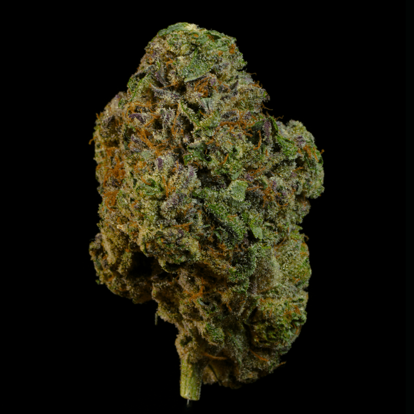 Gorilla Sherbet THCA Flower - Lost In Translation