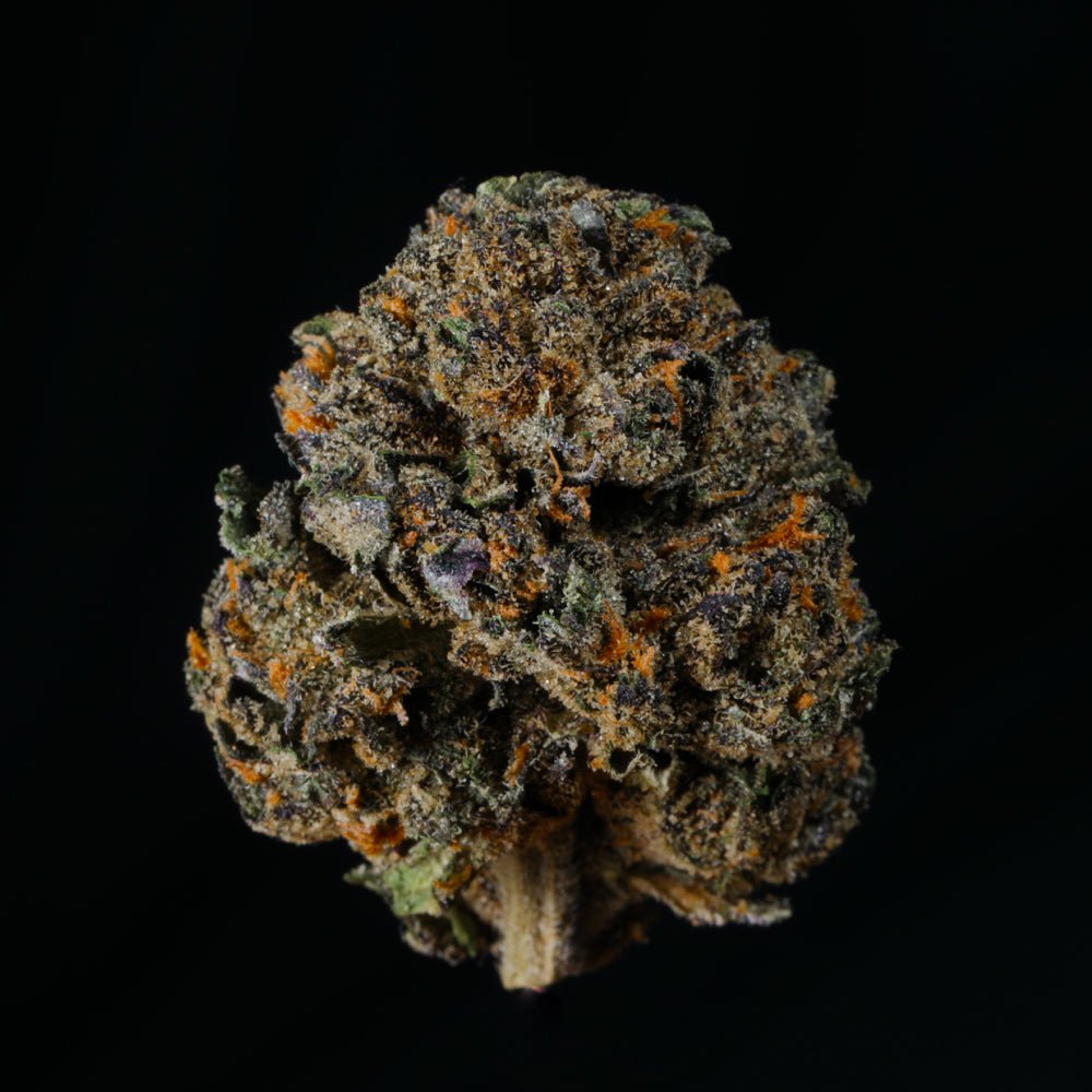 Grape Candy THCA Flower - Lost In Translation