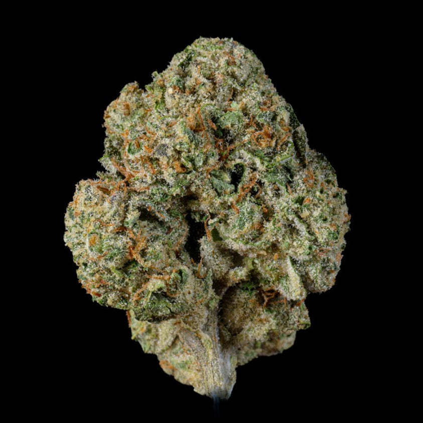 Grape Zest THCA Flower - Lost In Translation