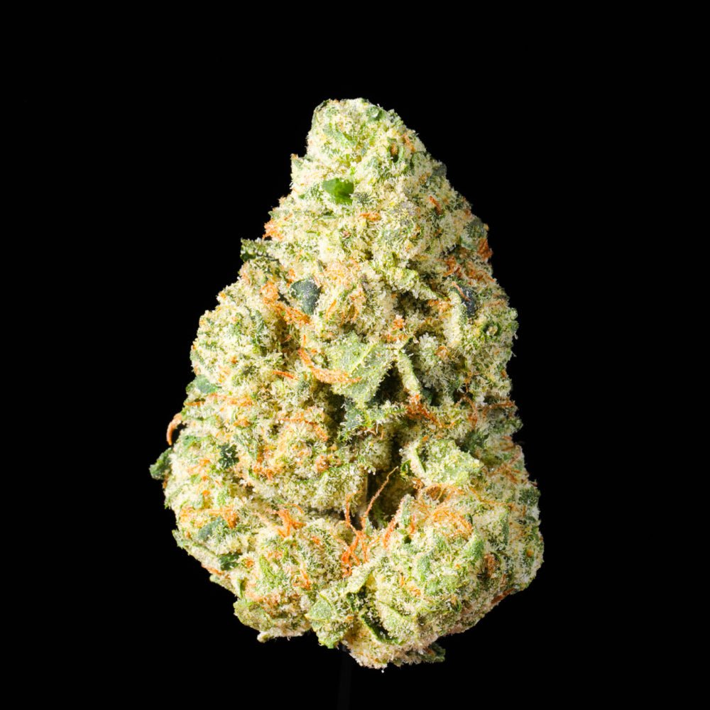 Grease Monkey THCA Flower - Lost In Translation