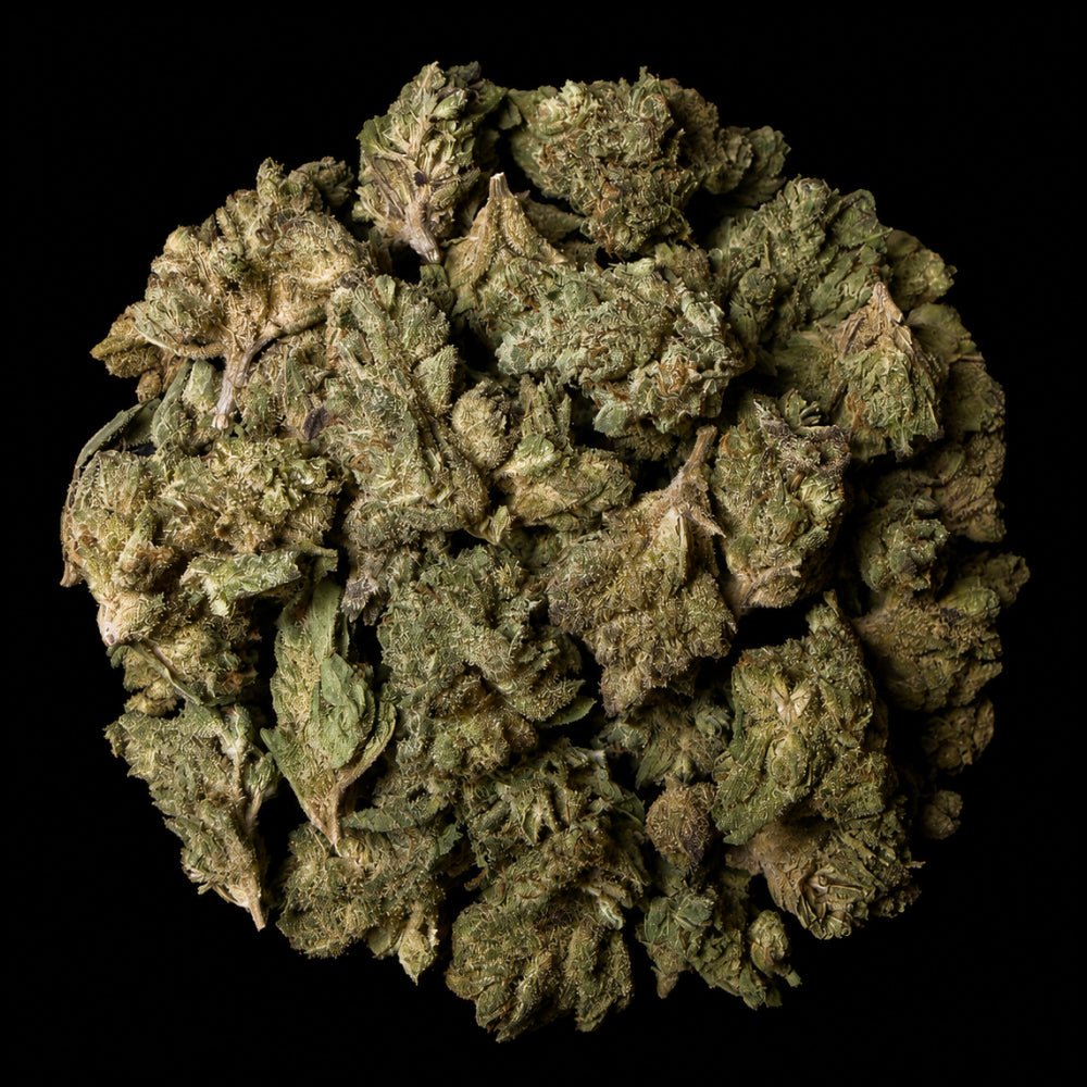 Guava Runtz THCA Flower - Lost In Translation