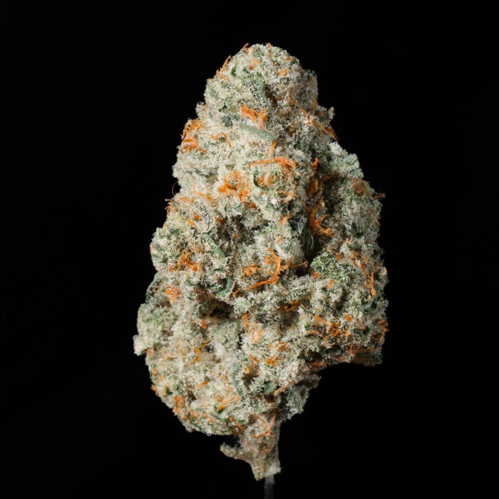 Gush Mintz THCA Flower - Lost In Translation