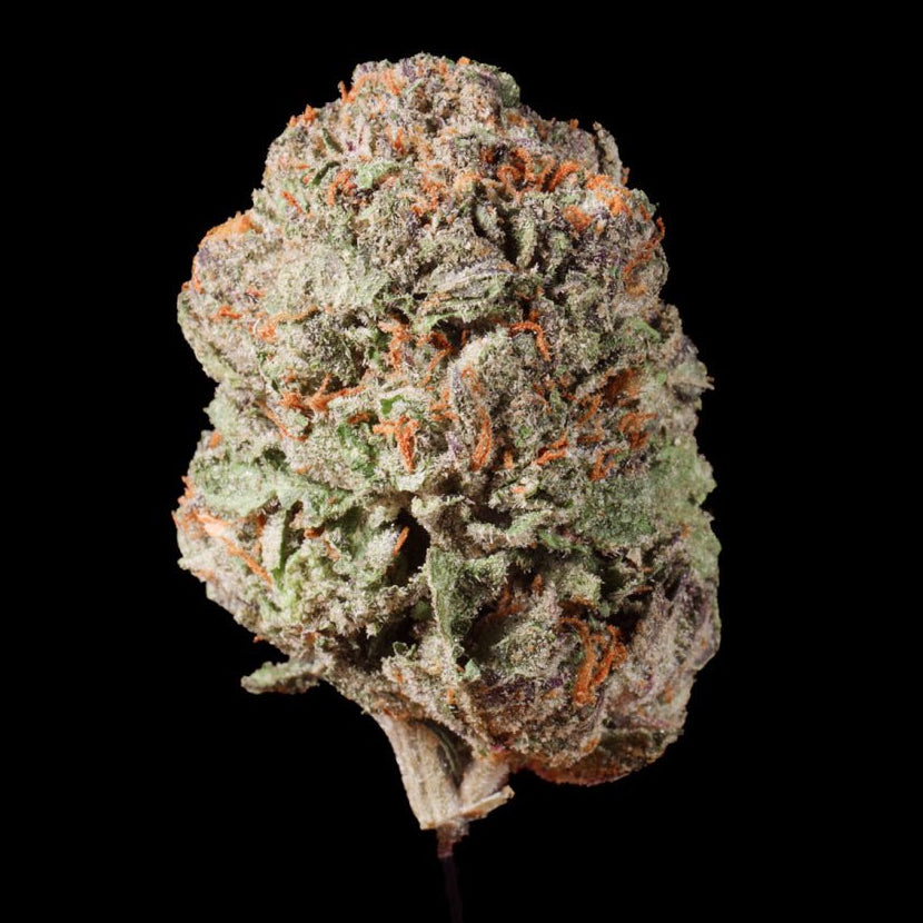 Gush Mintz THCA Flower - Lost In Translation