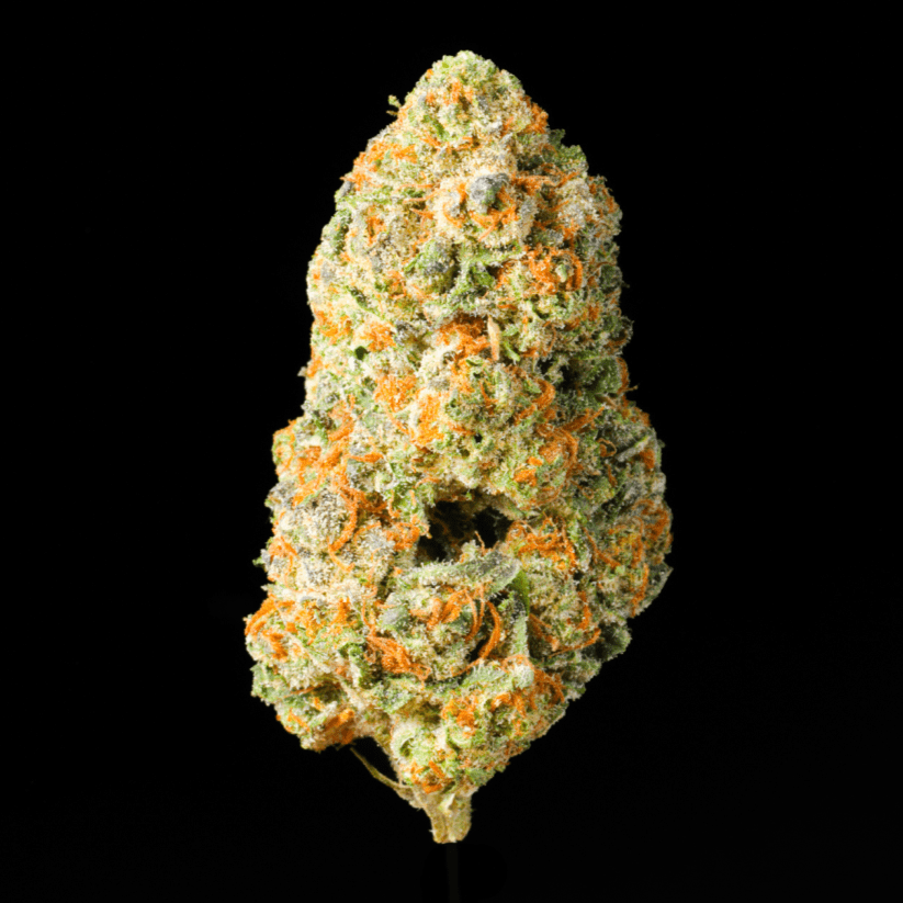 Gushers THCA Flower - Lost In Translation