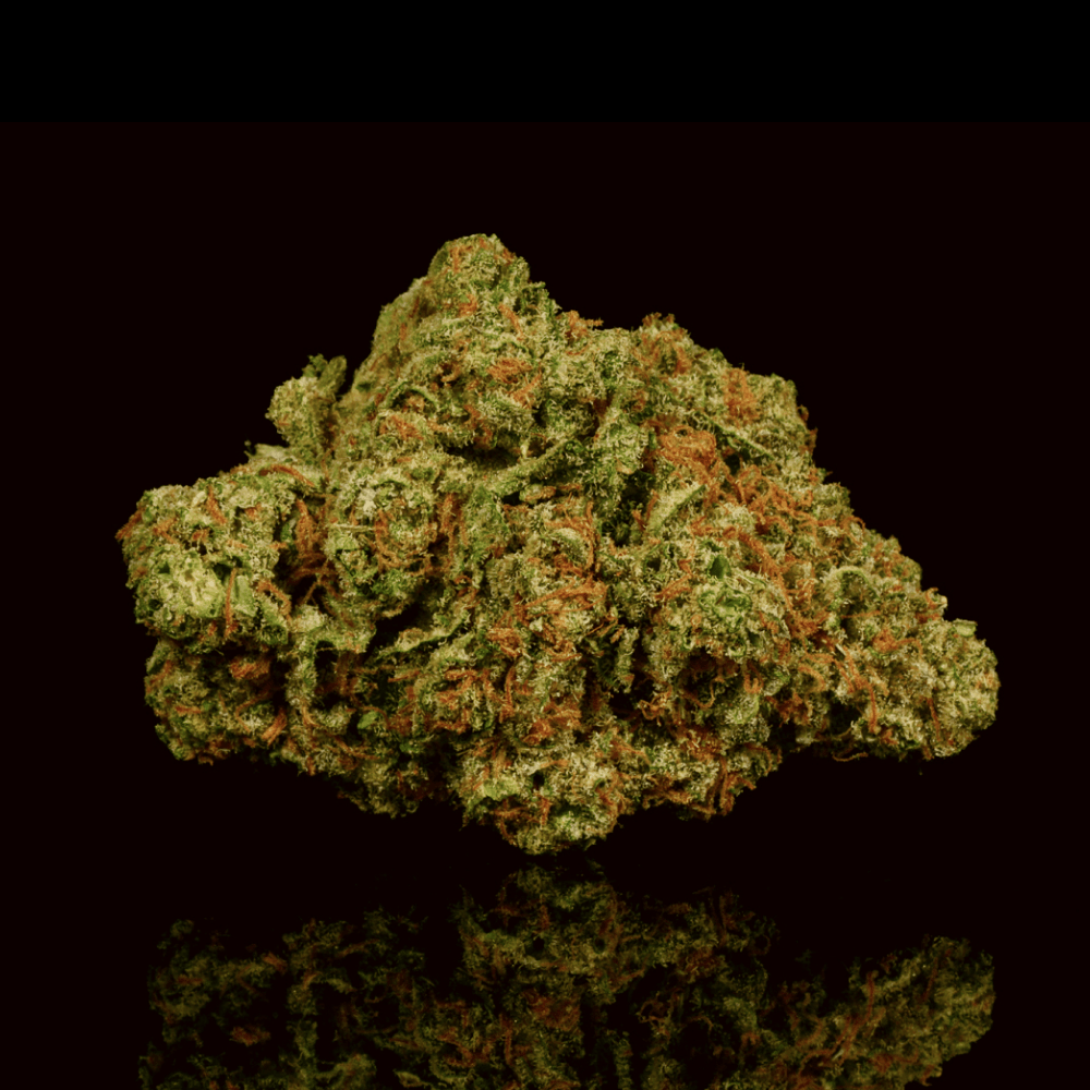 Gushers THCA Flower - Lost In Translation