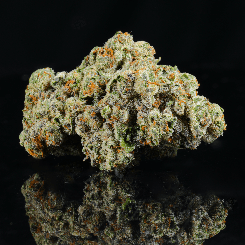 Rainbow Marker THCA Flower - Lost In Translation