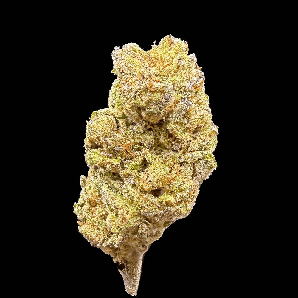 Hashburger THCA Flower - Lost In Translation