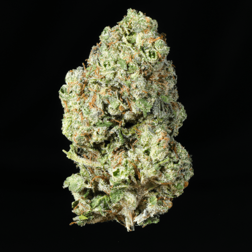 Hashburger THCA Flower - Lost In Translation