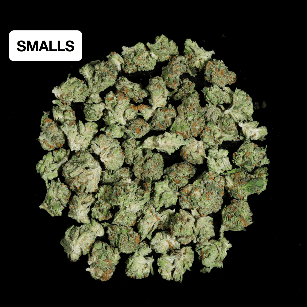 Mango Runtz THCA Flower - Lost In Translation