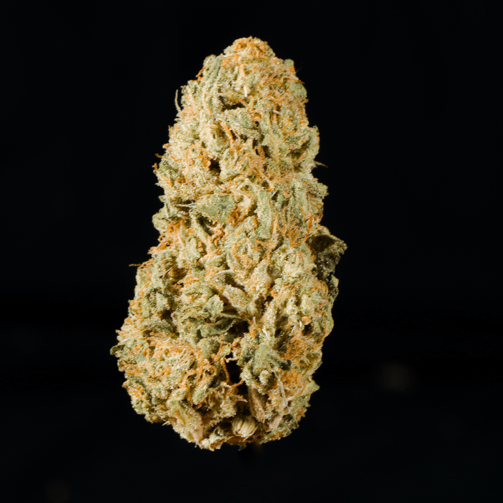 Highlighter THCA Flower - Lost In Translation